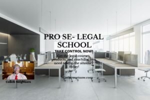 Pro Se Legal School classroom picture